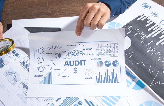 services_audit_support_img